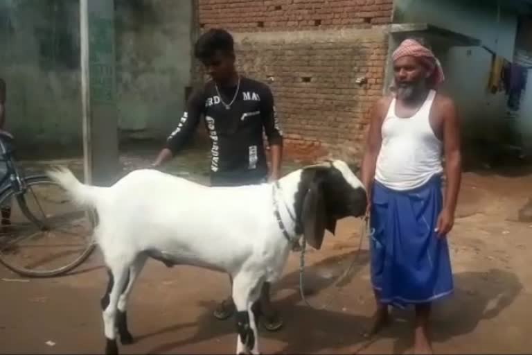 Corona effect on Eid in godda