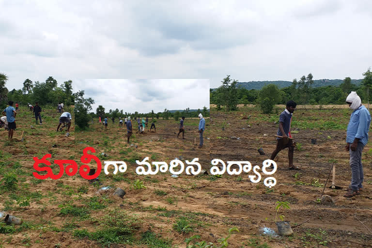 corona-effect-students-participate-harithaharam-plantations-works-at-medak