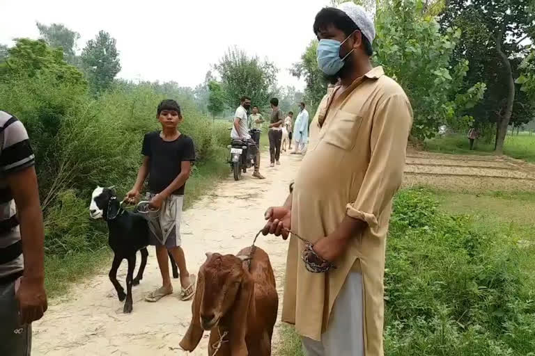 goat traders facing problem