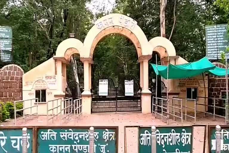 kanan pendari zoo bilaspur