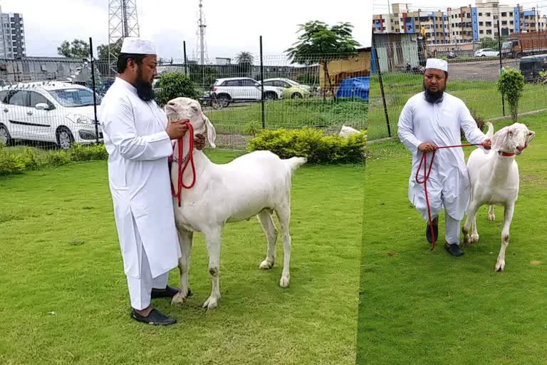 qurbani on bakra eid in vapi