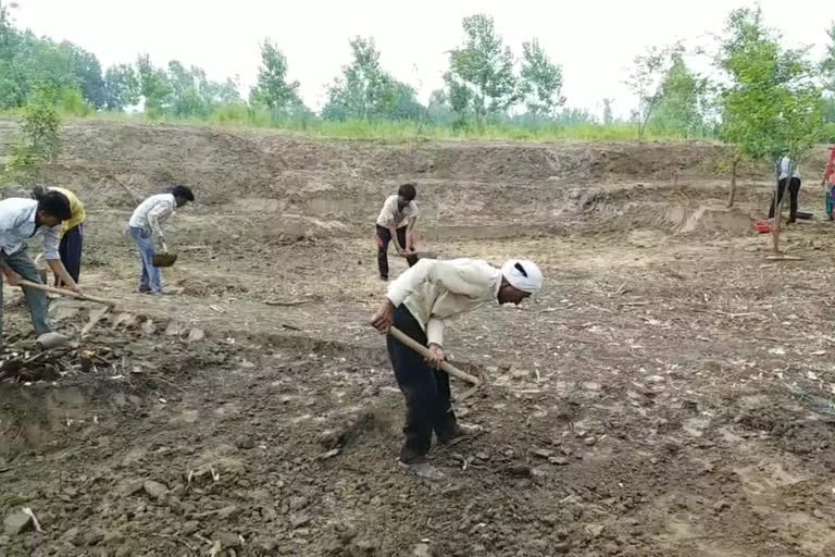 labourers get jobs under MGNREGA