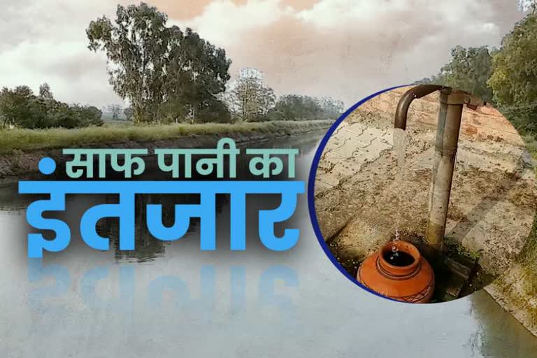 jind district not getting water from Bhakra canal