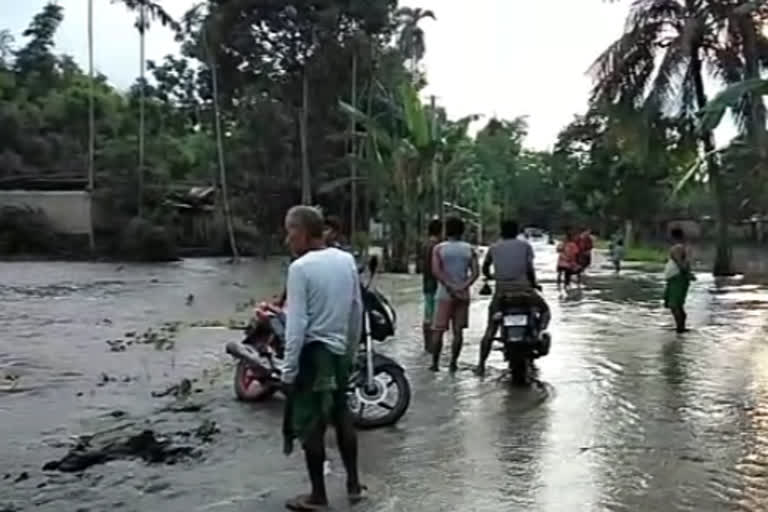 গোৰেশ্বৰত বানৰ তাণ্ডৱ