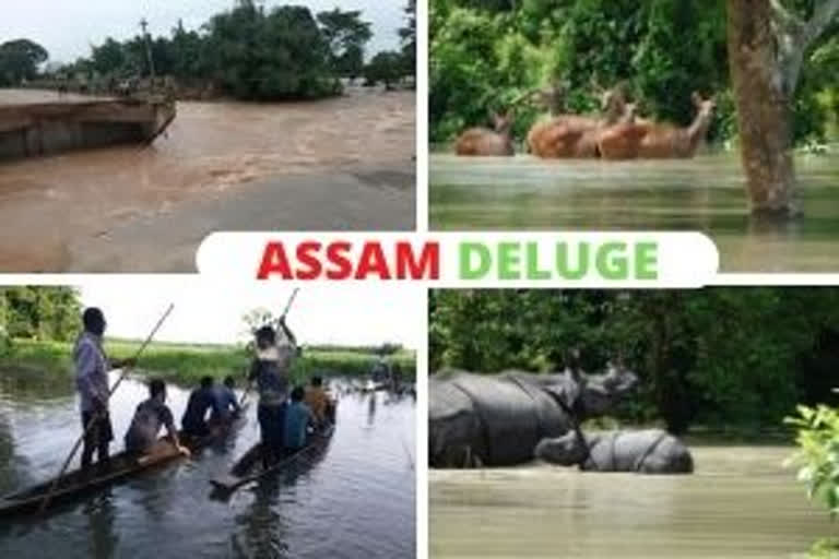 Assam flood