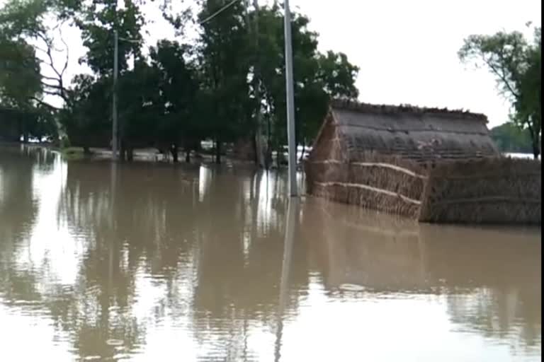 जलस्तर बढ़ने से अपने ऊफान पर घाघरा नदी