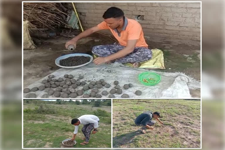 boy from washim is making seedballs for tree plantation