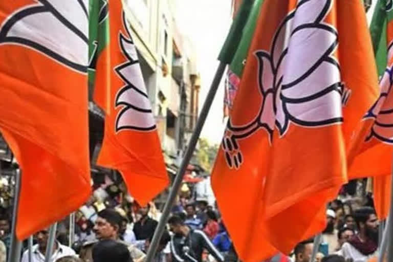 In likely organisational reshuffle, big faces to get key responsibility in BJP