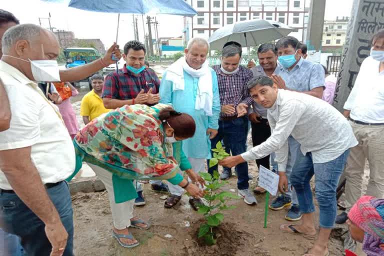 MLA Nirmal Chaudhary plantation in large industrial area of gannaur