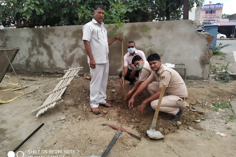 Plantation Program organized, पौधारोपण कार्यक्रम का आयोजन