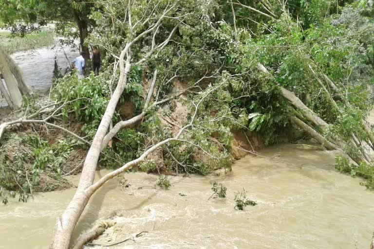 Flood situation increases in nalbari due to broke embankment of nona river assam etv bharat news