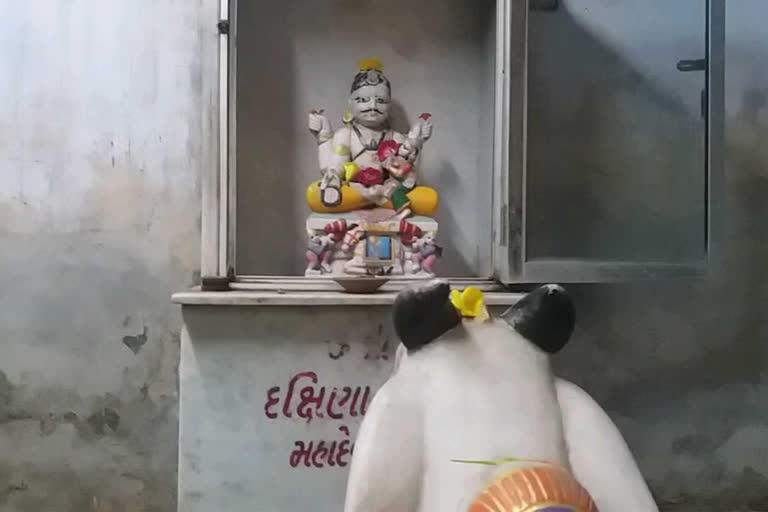 જામનગર