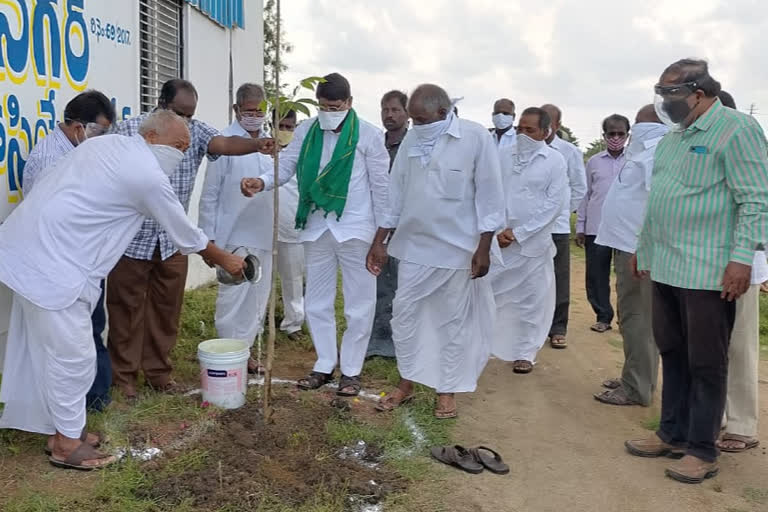 గ్రీన్ ఫ్రైడేలో భాగంగా మొక్కలు నాటిన జడ్పీ ఛైర్మన్