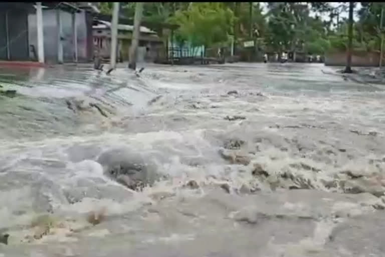 পুঠিমাৰী নৈৰ বানত পুনৰ জলমগ্ন ৰঙিয়া