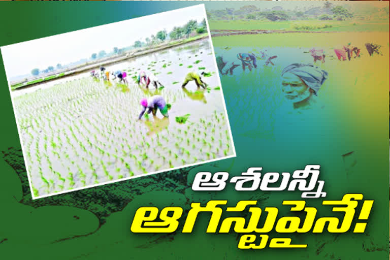 Decreased rainfall in July at peddapally district