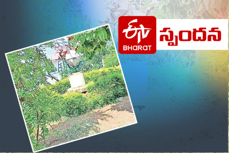 Removal of weeds in warangal mgm hospital