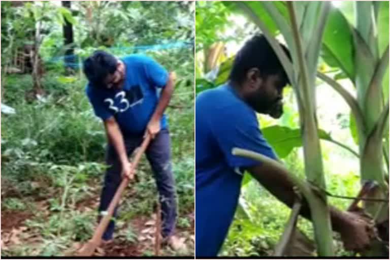 ഡോക്ടര്‍ റാഷിദ്  മലപ്പുറം  ആരോഗ്യ പ്രവർത്തകർ  തിരൂരങ്ങാടി വെന്നിയൂര്‍ സ്വദേശി ഡോക്ടര്‍ റാഷിദ്  doctor rashid  farming