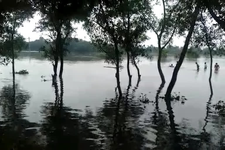 নদীতে তলিয়ে গেল বৃদ্ধ