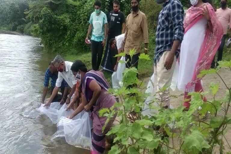 മലപ്പുറം  പോത്തുകല്ല്  fish farming  malapuram