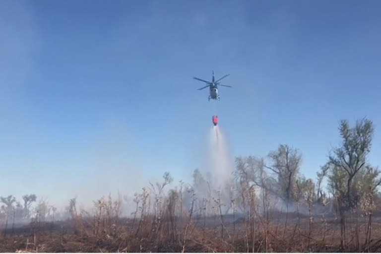 Argentine hydrant helicopters combat Parana fires