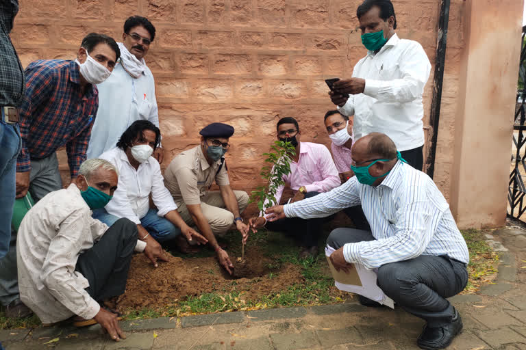 Bhopalgarh news, Plantation, Environment protection