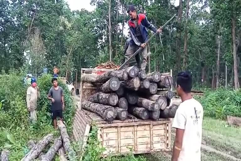 timber seized at goalpara