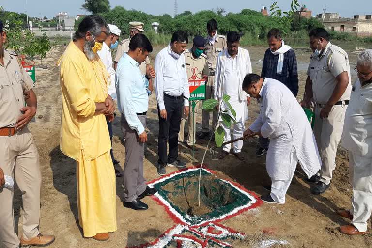 van mahotsav program organised in bhiwani