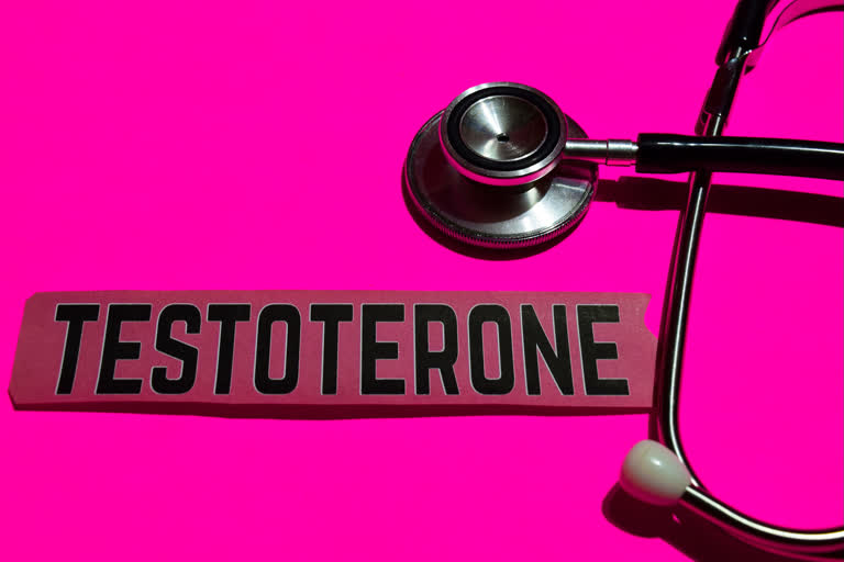 Everything about the Male sex hormone, Testosterone