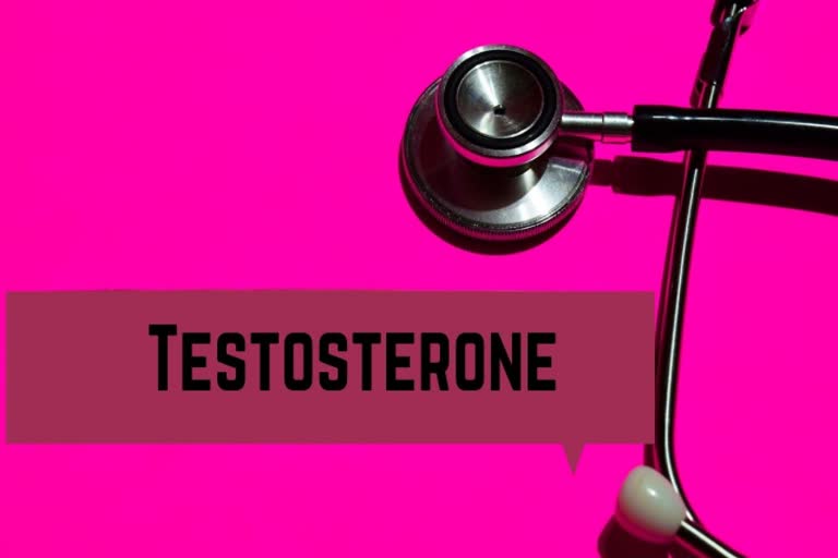 Male sex hormone, testosterone