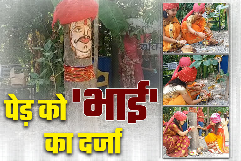 Rakhi is tied to trees in the Pipalantri, Rakshabandhan Special News