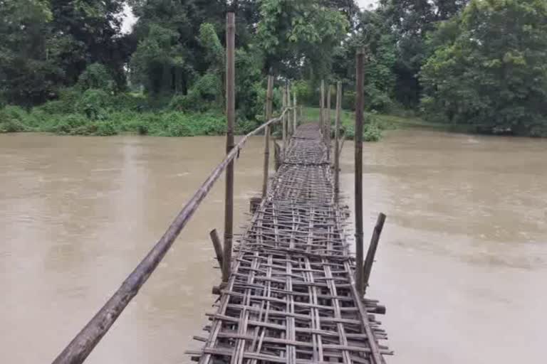 teacher-of-kardoiguri-area-of-moran-spends-his-earnings-to-build-bamboo-bridge-for-the-village