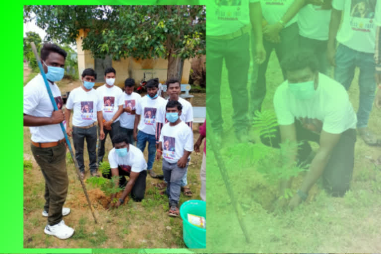 plantation program in nizamabad by ciranjeevi fans