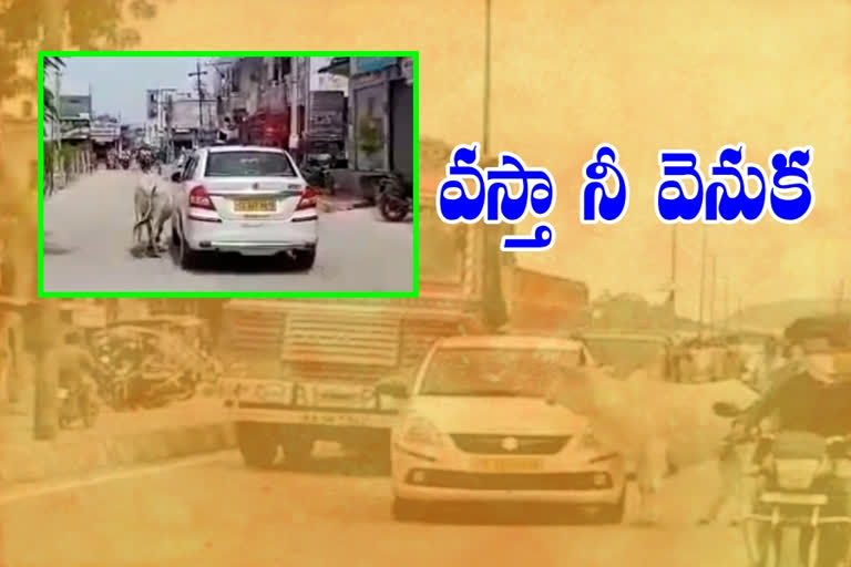 The cow with the car and ran at wanaparthy city