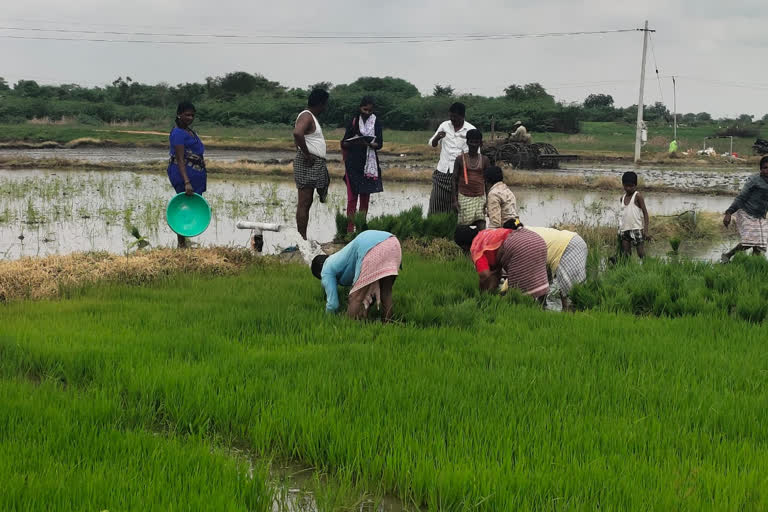 crop registration program completed in mahabubnagar