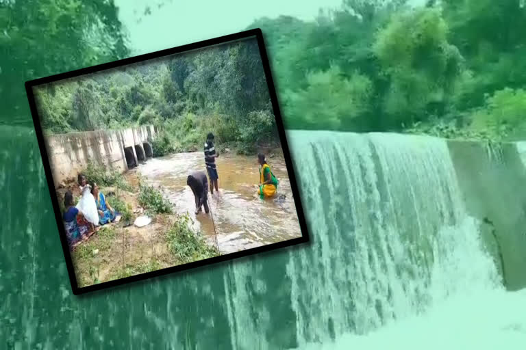 youngsters-taking-selfies-of-brooks-overflowing-in-sheshachala-forests-in-chittoor-dst-chandragiri-mandal