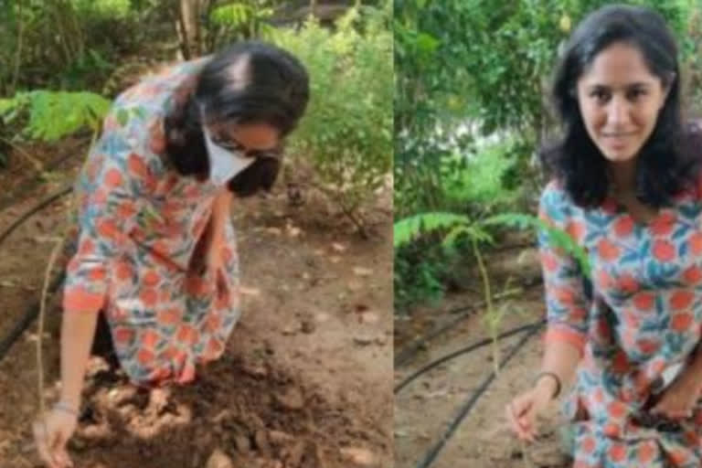 world player manasi plant a tree