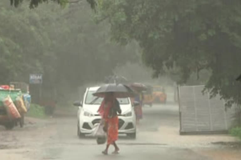 monsoon report on august