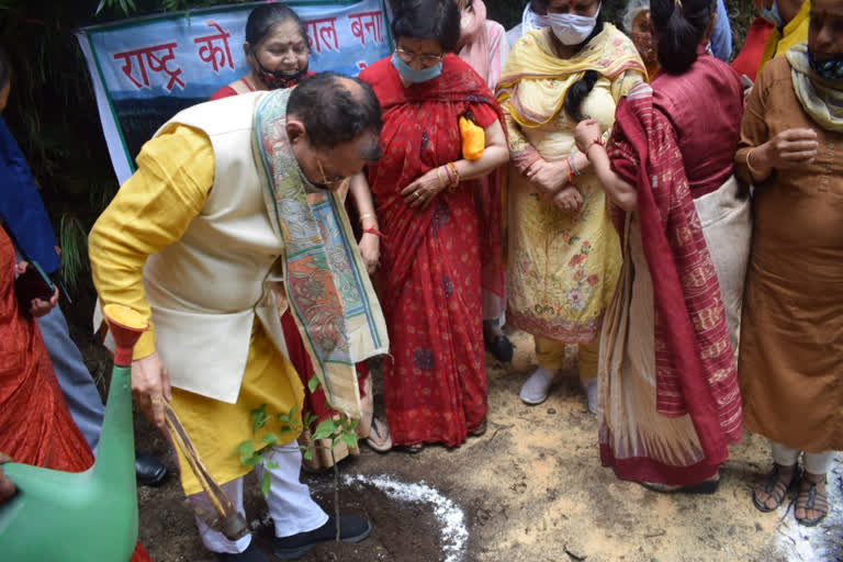 suresh bhardwaj planted tree