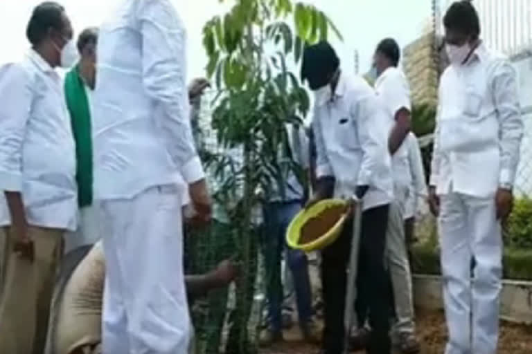 minister puvvada ajay kumar participate harithaharam at wyra khammam district