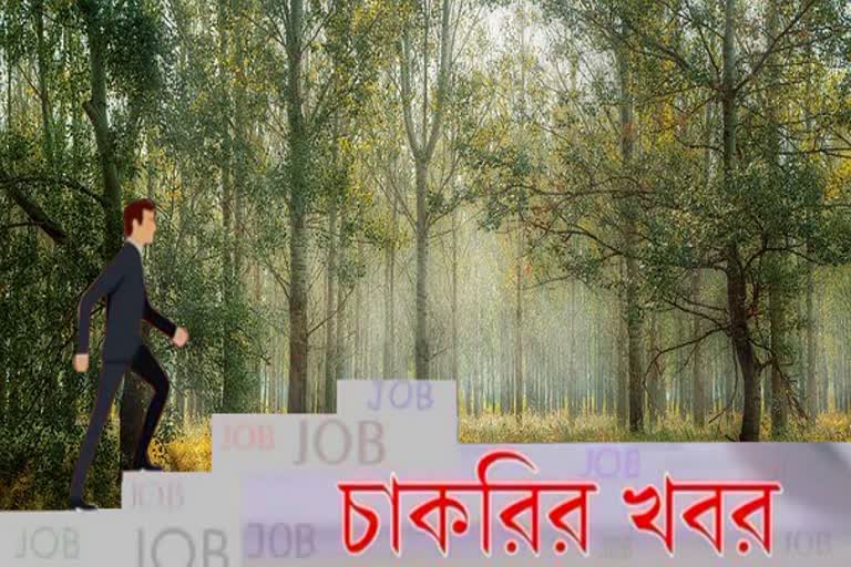 চাকরির খবর