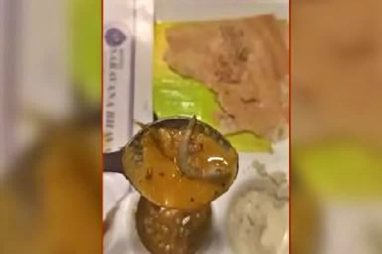 dead lizard found in sambhar in connaught place