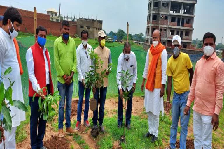 mp sanjay seth says Plantation is necessary for environment protection in ranchi