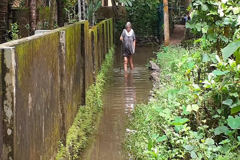 പത്തനംതിട്ട വെള്ളപ്പൊക്കം  പെരിങ്ങര പഞ്ചായത്ത് വെള്ളക്കെട്ട്  സബ് കലക്ടർ വിനയ് ഗോയല്‍  pathanamthitta flood  peringara panchayat flood