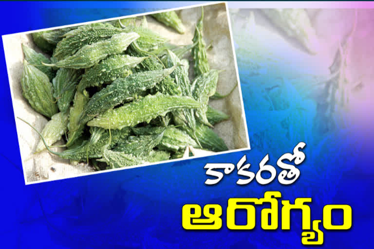 benefits of Bitter gourd in telugu