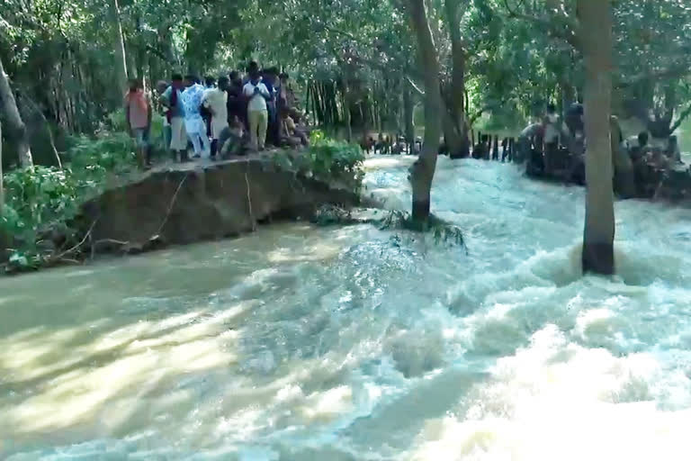 बिहार में नदियां उफान पर