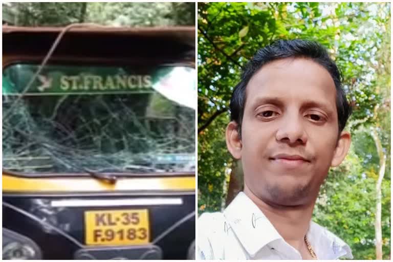 കോട്ടയം  autorickshaw  autorickshaw accident  pala  നെല്ലിയാനി