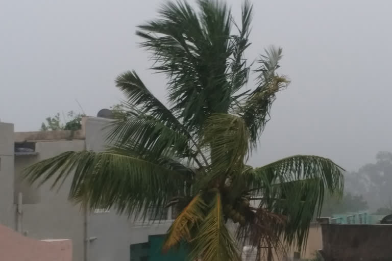 It rained since Tuesday morning in Bhopal