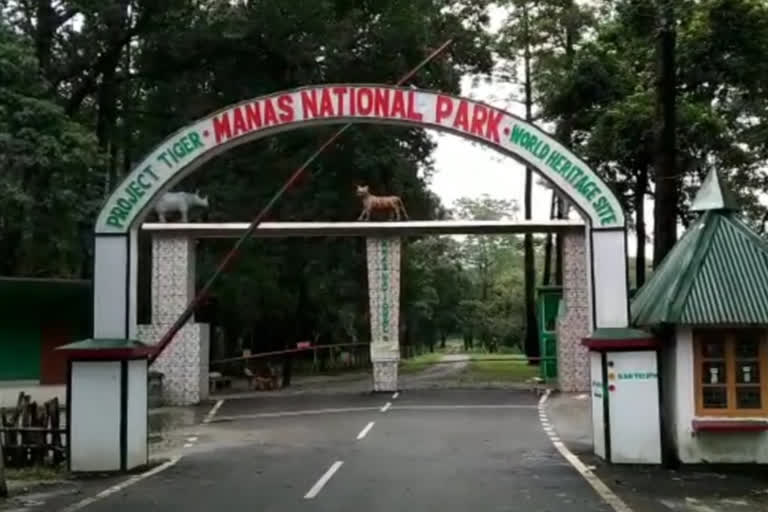 Manas national park is in loss due to Lock down