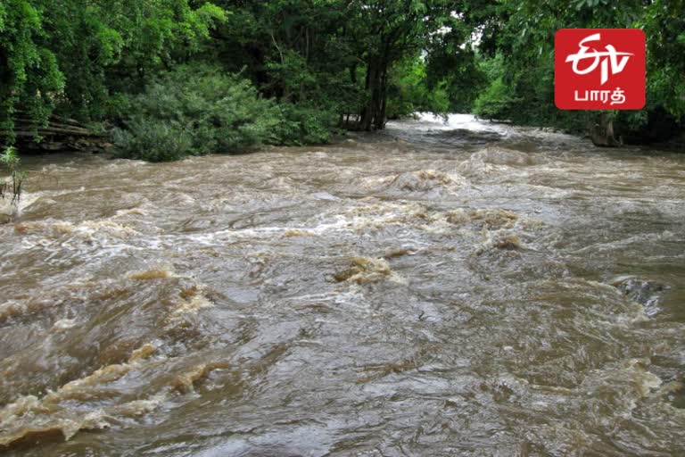 வீடுகளில் முடங்கிய முழு கிராமம்