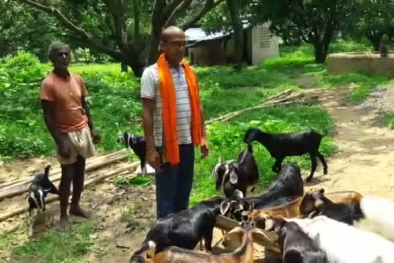 goat rearing in godda